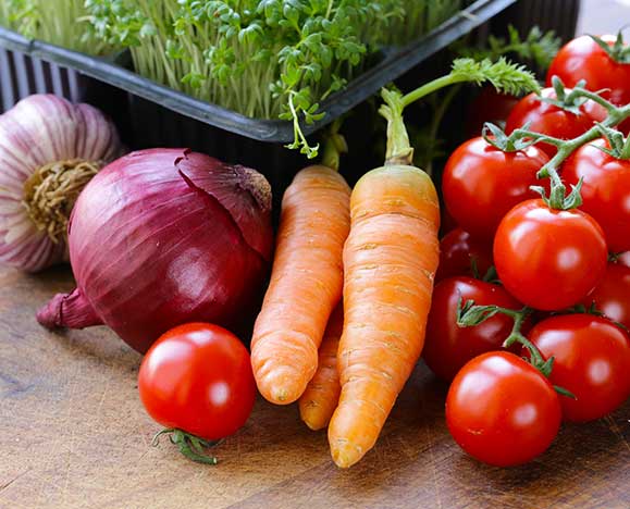 Nourishing Livestock for Optimal Health