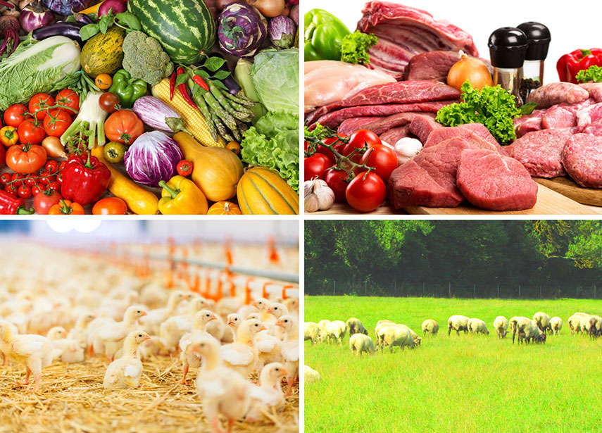 Ensuring Food Security