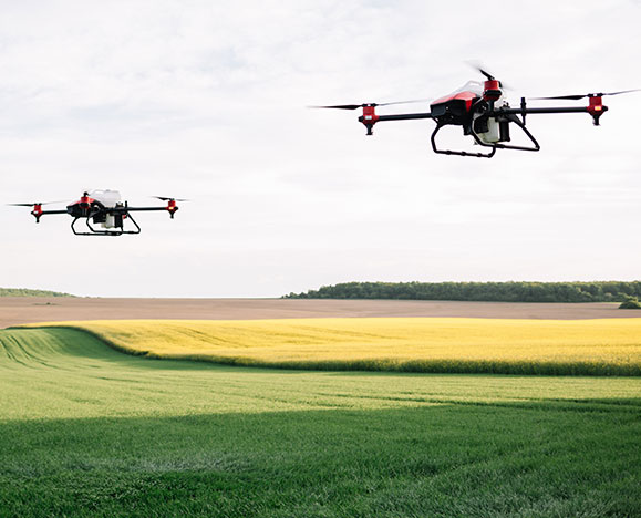Empowering Innovation and Technology